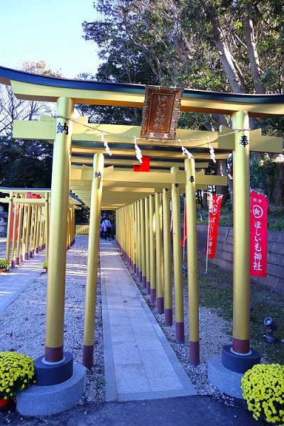 ほしいも神社の黄金の鳥居