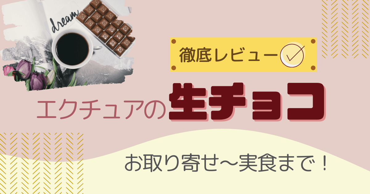 【徹底レビュー】エクチュアの生チョコ